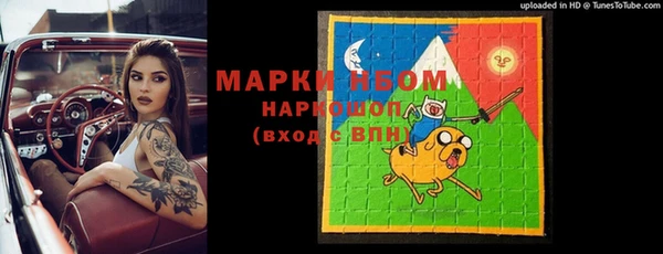 хмурый Алексин