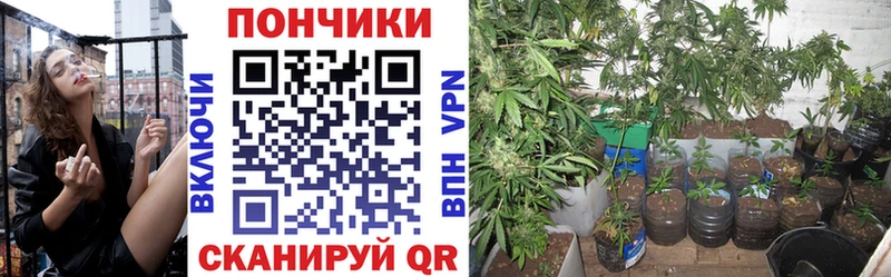 сайты даркнета официальный сайт  Черноголовка  Канабис AK-47 